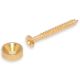 Neck joint ferrules 14x5 & screw 4x46,2 gold