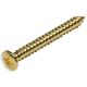 Neck screw gold 4.2x45 mm