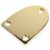 Oval shaped neck plate gold